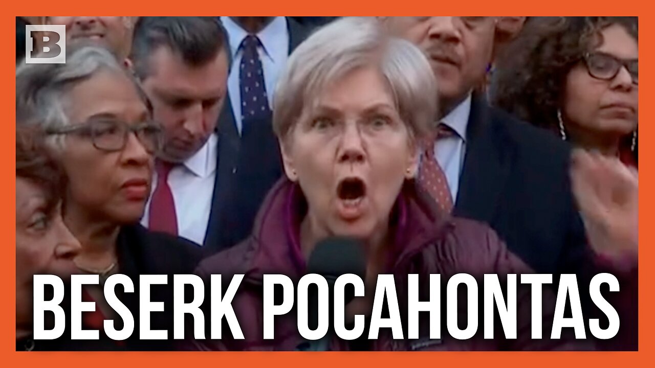 Elizabeth Warren Screeches "We Are Here to Fight Back" Against Elon Musk