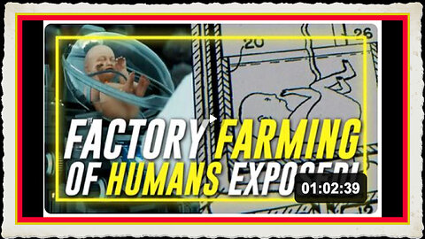 Births Exposes The Factory Farming