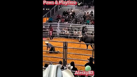 BULL CHARGES A MAN AND SENDS HIM FLYING😨😨😨😨