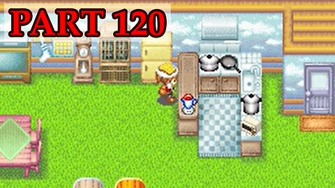Let's Play - Harvest Moon DS Cute part 120