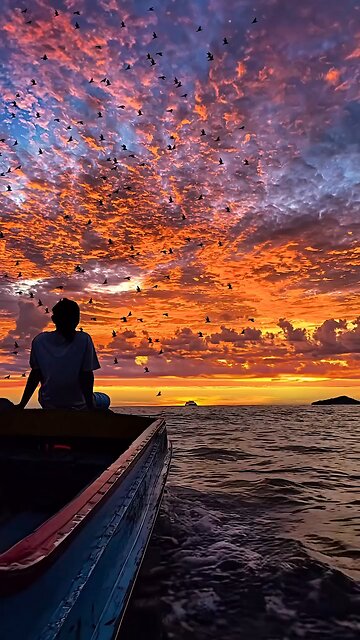 The setting sun and solitary birds fly together