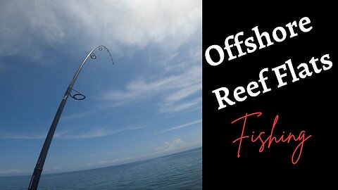 Offshore Reef Flats / Lure Fishing