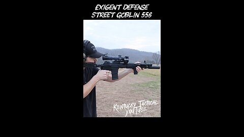 Exigent Defense Street Goblin 556 - 13.9 inch Performance