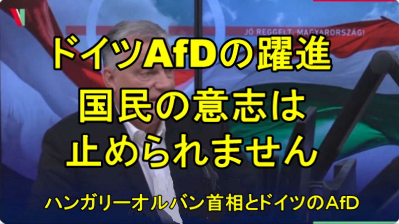 ドイツのための選択肢(AfD)の政策が実施されたら、ハンガリーには良いことだ。
