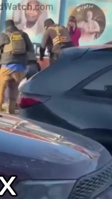 Slow Motion: The man shot by Border Patrol agents in Minneapolis has died