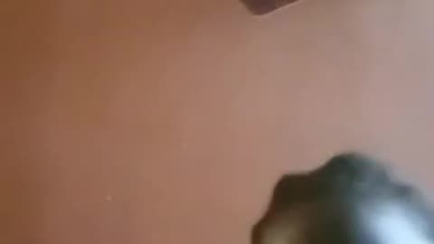 TRUE FREEMAN SCAMMED OUT OF $80 AND GOES INSANE ON INSTAGRAM LIVE