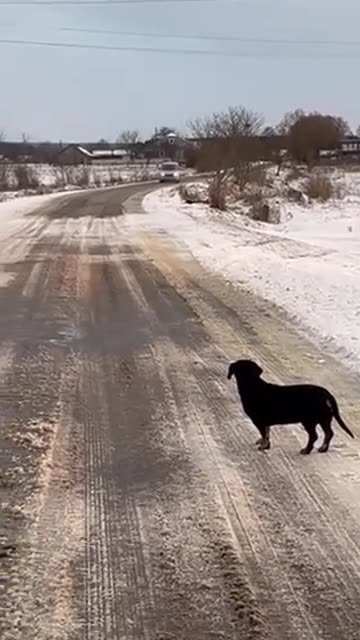 Ukrainians fight back against the TCC pressgangs 1/7/2026