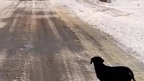 Ukrainians fight back against the TCC pressgangs 1/7/2026