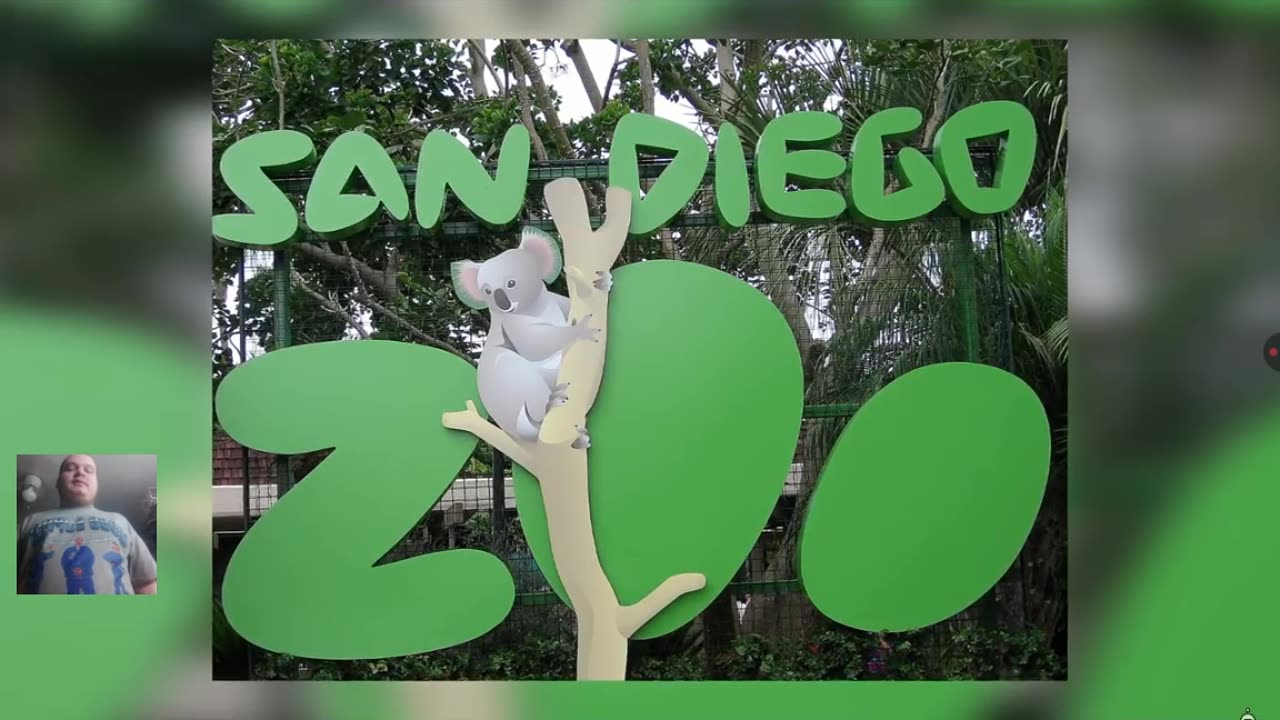 Reacting To 10 Hidden Messages In Famous Logos