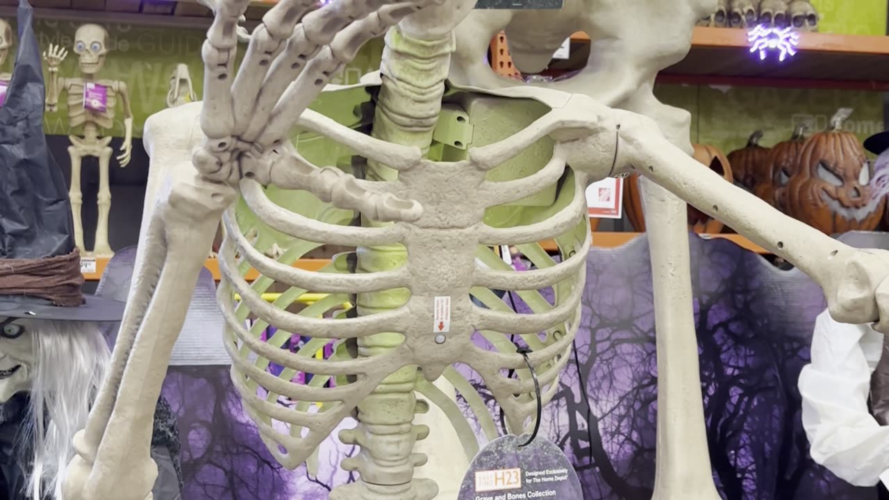 skeleton 💀 #halloweenla #halloween #skeleton