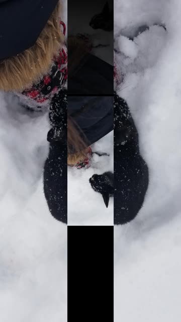 Fun fact, every house needs guardian bunnies keeping the snow at bay. #SparklegleamFarm #Bunny #farm