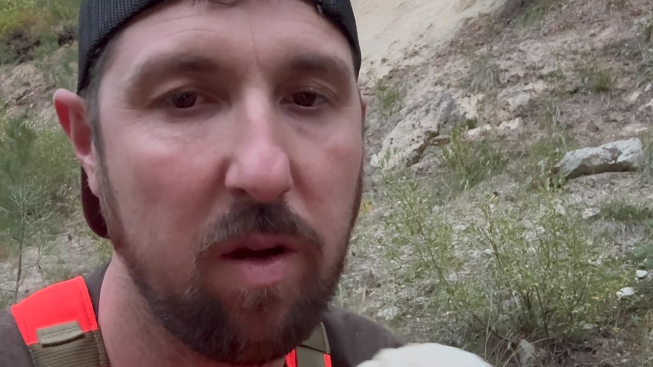 Identify a Puffball Mushroom