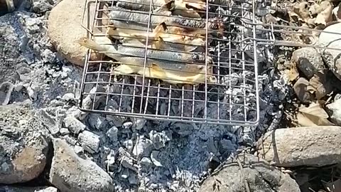 Grilled fish