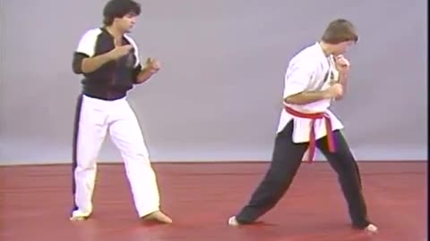 Hapkido
