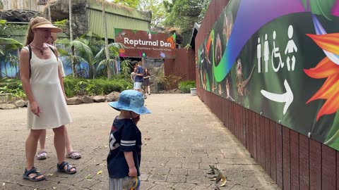 BEST FAMILY DAY OUT on the Gold Coast | Currumbin Wildlife Sanctuary (Must See Animal Hospital!)