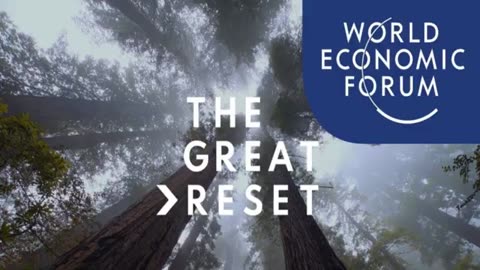 Everything You Need To Know About Digital ID's | Heliowave