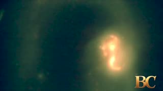 James Webb Space Telescope finds precursors to ‘building blocks of life’ in nearby galaxy