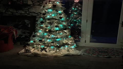 Summer Todd's Creepy Corner Christmas Edition (Part Two)