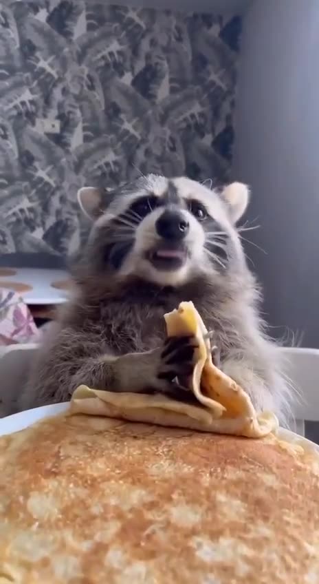 Sunday morning delicious breakfast