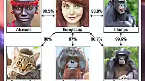 Race is real and Biblical