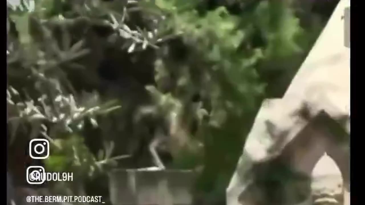 These people are really you're allies?