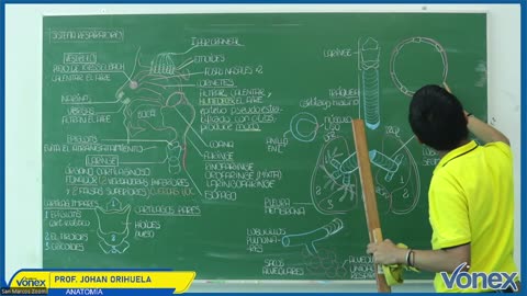 VONEX SEMIANUAL 2025 | Semana 09 | Anatomía
