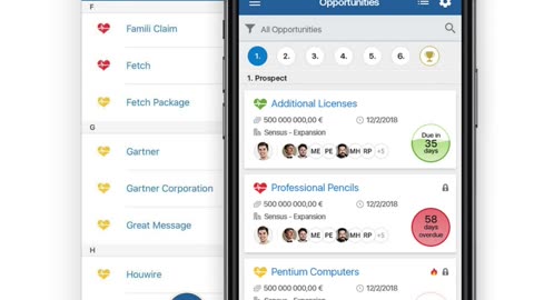 This CRM Fills Itself | Automatic Data Enrichment Explained