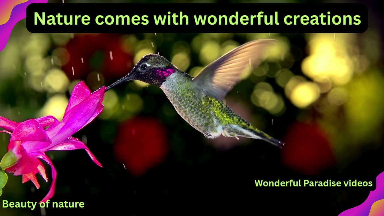 Birds is the natural review