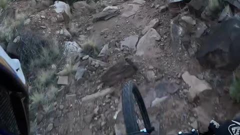 Grafton DH trail
