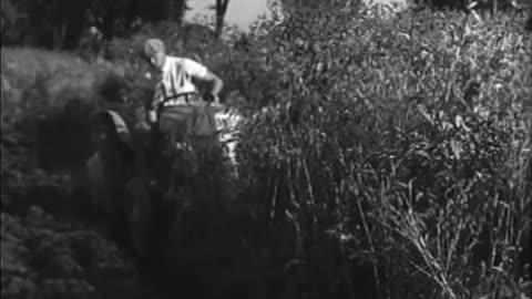 [BUILDING A FUTURE FO... - [BUILDING A FUTURE FOR THE FARMER. FORDSON TRACTOR ADVERTISE - fc-fc-3308