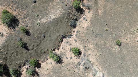 Fruita 4
