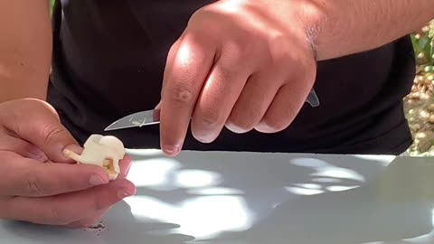 Unbelievable Experiment