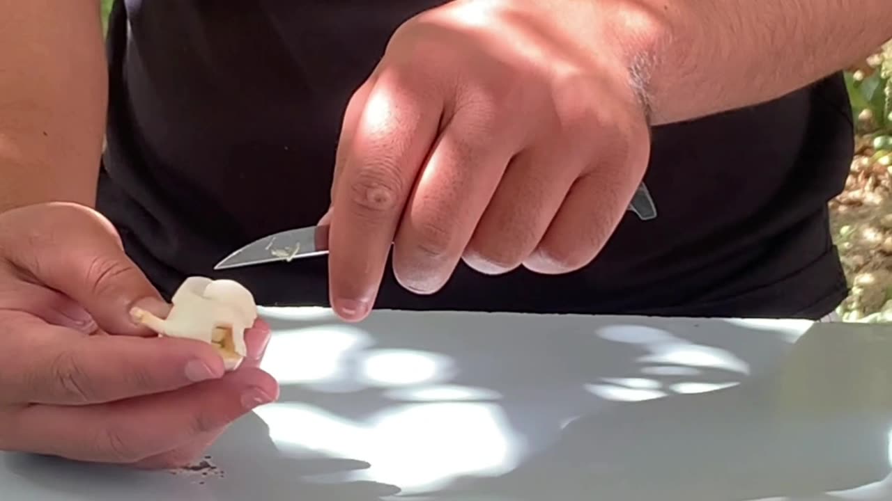 Unbelievable Experiment