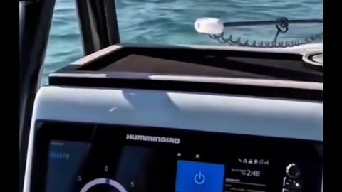 🚢🌊 Gyro Boat Stabilizer in Action! | FeedMyCuriosity