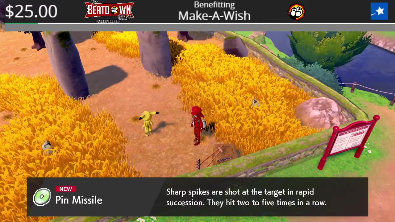 Pokemon Shield Day 3 Part 2 of 2