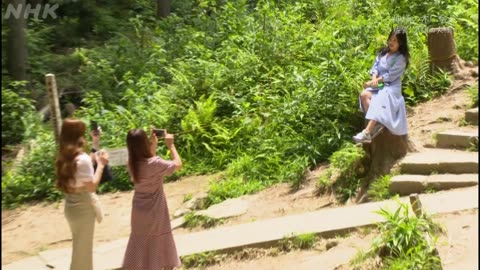 にっぽん巨樹の旅ミニ 「神様の木に会う 武雄神社の大楠(佐賀)」（5分）