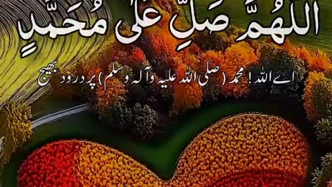 Jaza kallah ♥️✨