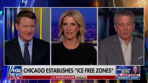 Mike Davis To Laura Ingraham: It Is The President's Job, Not A Local Judge's, To Protect Our Country