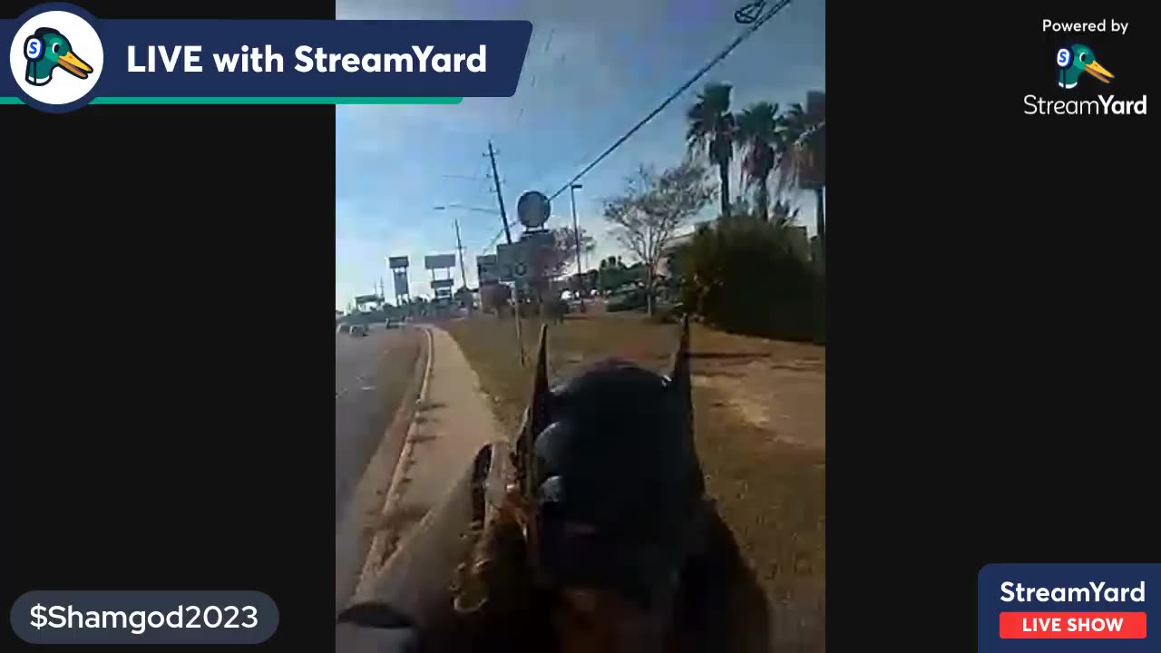 Batman Is The Protector Of Gotham 🦇