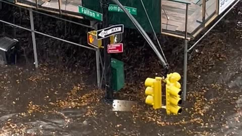 Bed Stuy Flooding in NYC