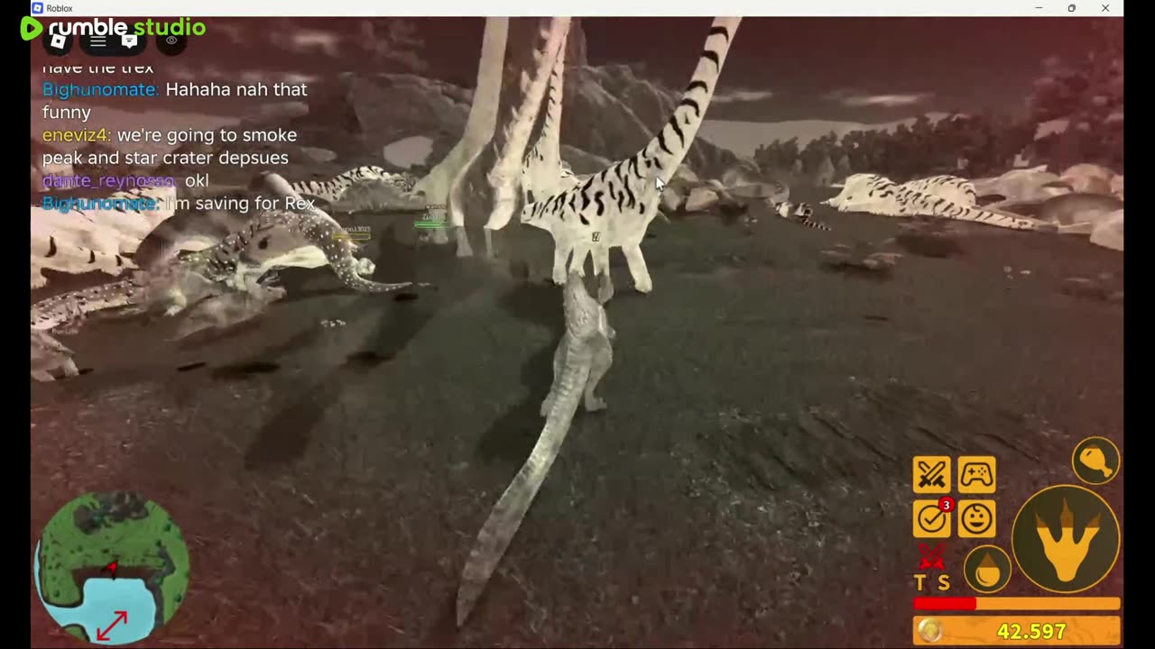 FIRST TIME BRACHI FIGHT