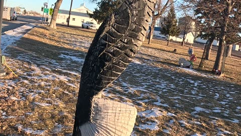 Stump Carving "Eagle"