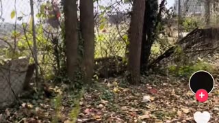 🤯🚨 When They Refuse to Answer, Things Get Out of Control! | FunFM