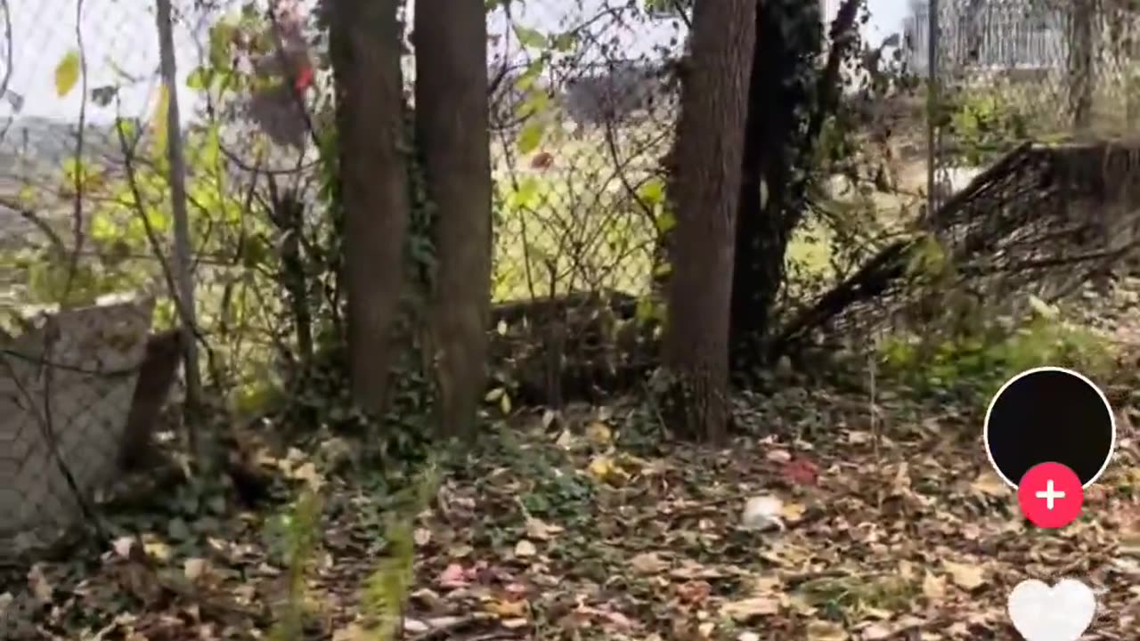 🤯🚨 When They Refuse to Answer, Things Get Out of Control! | FunFM