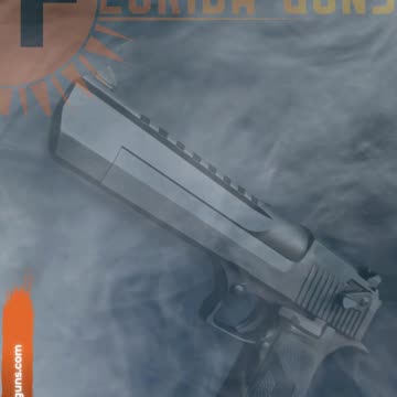 Magnum Research Desert Eagle .44 Mag | West Palm Beach, FL