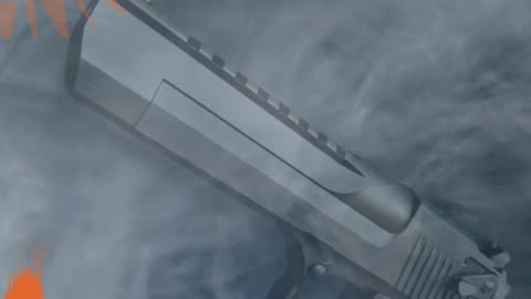 Magnum Research Desert Eagle .44 Mag | West Palm Beach, FL