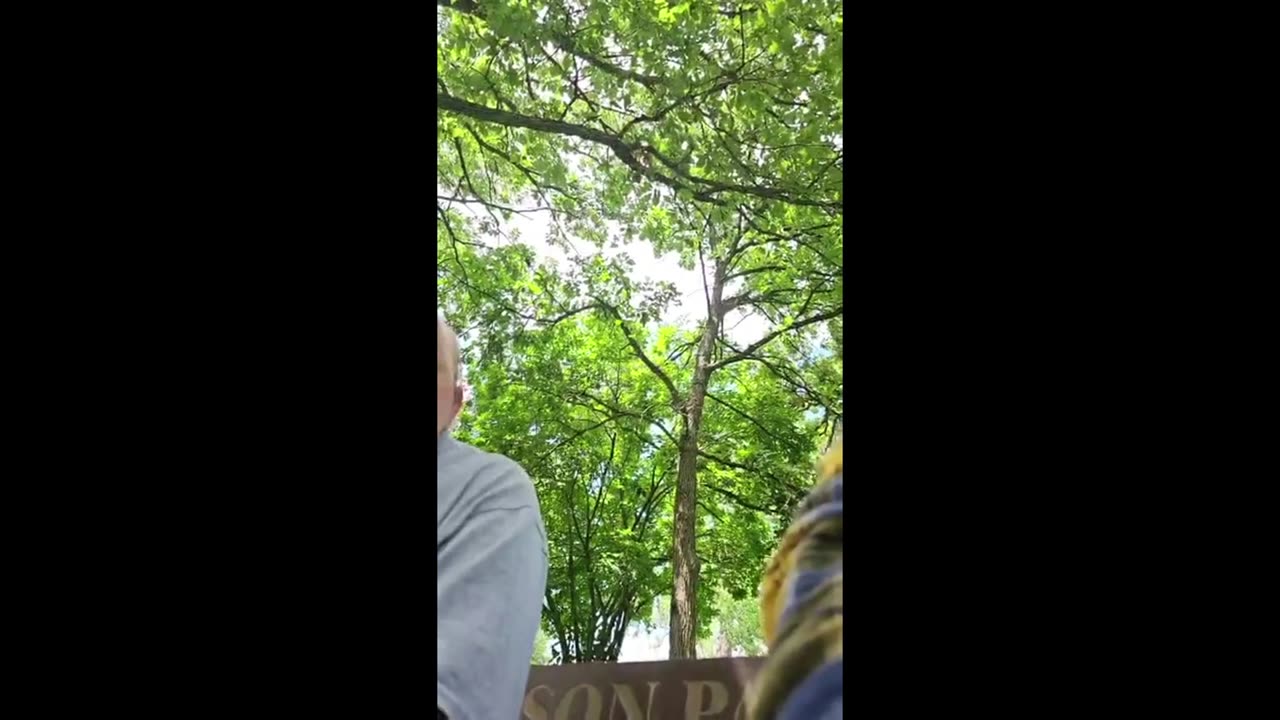 #48 Josh 35 of Cameron, MO @ Simpson Park in Chillicothe, Missouri to meet with a minor