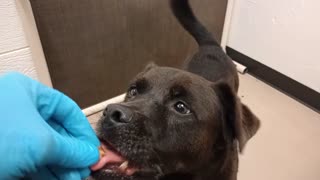 VID_20251123_145229646