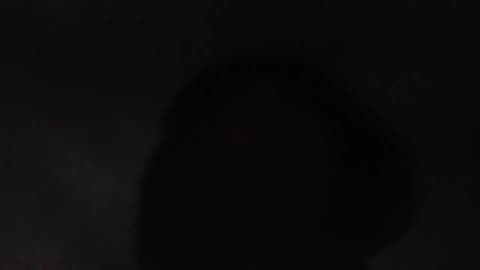 Feeling Happy For My Pu#@y Ankle (Nov 27, 2024)