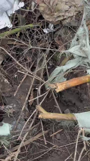 Ukraine war combat/related footage 12/30/25